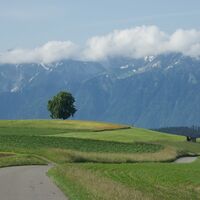 Alpenpanorama vor Gerzensee - Belpbergroute
