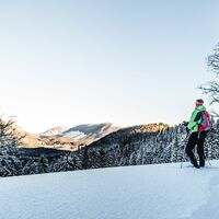 Schneeschuhwandern im Naturpark Mürzer Oberland