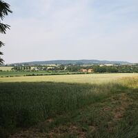 Voßholz