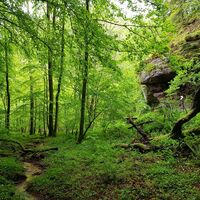 Romantisches Clauser Tal beim Kuhfelsen
