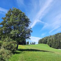 Blick zum Gschnaidter Kreuz in der Oststeiermark