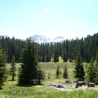 Hochmoor - Wild Ried