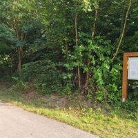 Wogenweg Start Sommer
