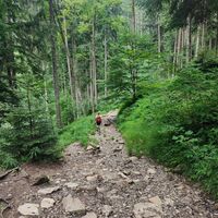 im Übergang in den Hochöder Graben