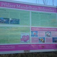 Infoschild