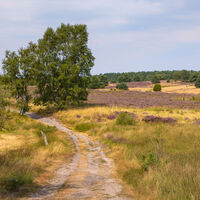 Das Radenbachtal