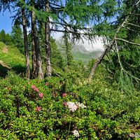 Der Wanderweg des Alpe-Adria-Trails verläuft hier ein ganzes Stück parallel zur Großglockner Hochalpenstraße auf der anderen Talseite.