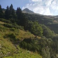 Weiter über den Forstweg Richtung Sulzkaralm