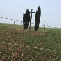 Ein Feldkreuz zeigt den Weg