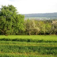 Wiesen rund um Karlsbad