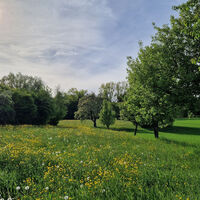 Landyidylle im Frühling zwischen Karlsbad und Waldbronn