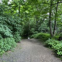 Schutzhund am Weg