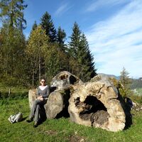 Der uralte Nussbaum am Weg nach Oberscheffau erfüllt selbst liegend noch eine tragende Funktion.