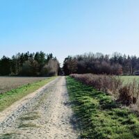 Sandweg durch Feldflur bei Bad Bevensen