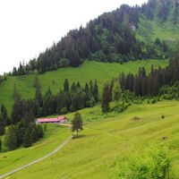 Alp Eusin