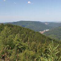 Aussicht am Hahnenfalzweg