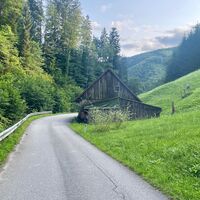 Duftkreuztrail Kleinkohlergraben