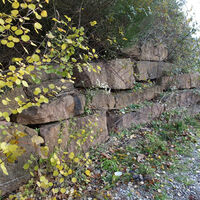 Steinmauern - vielfältige Lebensräume