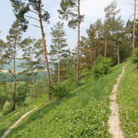 Serpentinen am Heinberg