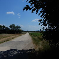 Alberndorf - Patzmannsdorf