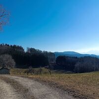 Vor Holzmannberg