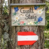 kleiner Steig im Abstieg bis zur Skipiste