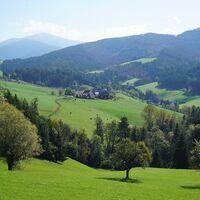Wunderschöne Aussicht in den Feebergraben. Im Hintergrund sieht man Größenberg und Amering.