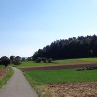 Weg nach Kaltbrunn