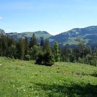 Ausblick nahe Kaiserjagdhaus