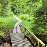 Brücke über die Ilse