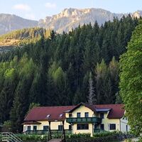 Blick nach oben von der Zufahrt Schneealpe