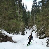 Durch den Wald zwischen den Almwiesen zum Parkplatz