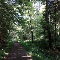 Lauf des Hirtenbachs
