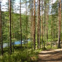 Naturschleife Tolpankangas