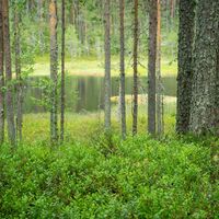 See im Schatten der Hügel