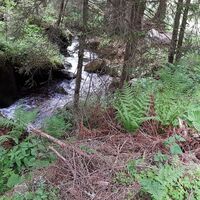 16.0 km Höherweg - Wildbach