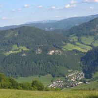 Blick auf Frankenfels, hinten links Schneeberg