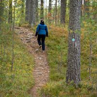 Surmilampi Weg, felsiger Pfad