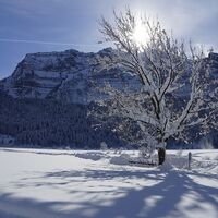 Winterlandschaft in Bizau