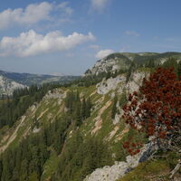 der Kulmstein