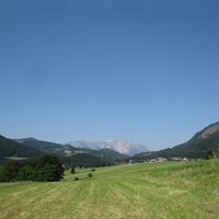 Babygrat, Steirerspur und Springlessteig
