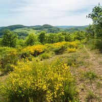 Naturschutzgebiet Mittagsfels