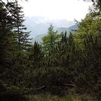 15.1 km Blick nach Slowenien