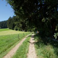 Weg vor Neumatt - Wanderung Guggisberg - Rüschegg