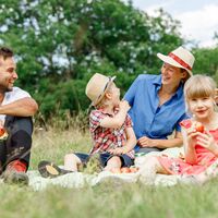Familie beim Picknick