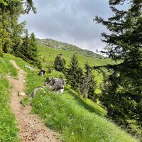 historische Strasse, Egga - Belalp