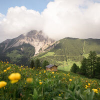 Das Wandergebiet Malbun