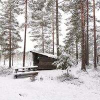 Naturpfad Joutsijärvi
