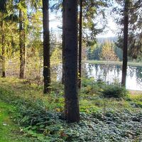 Teiche bei den Sternsteinliften