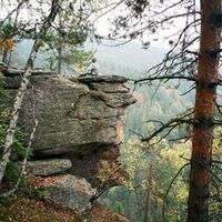 Sporiroa-Ofen Waldansicht